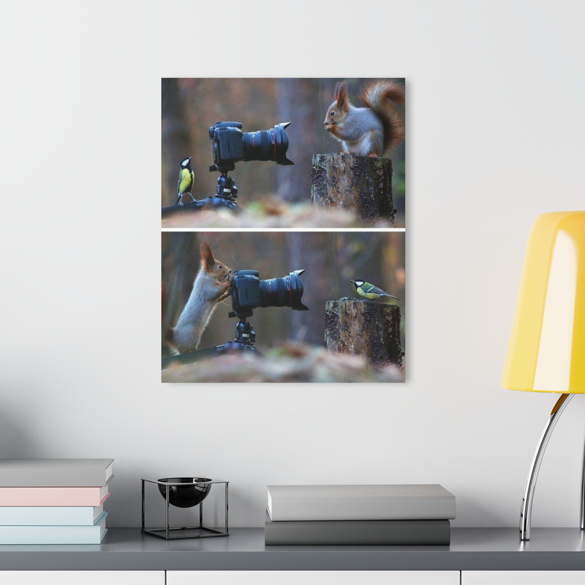 SQUIRRELS AND BIRDS PHOTOGRAPHING EACH OTHER