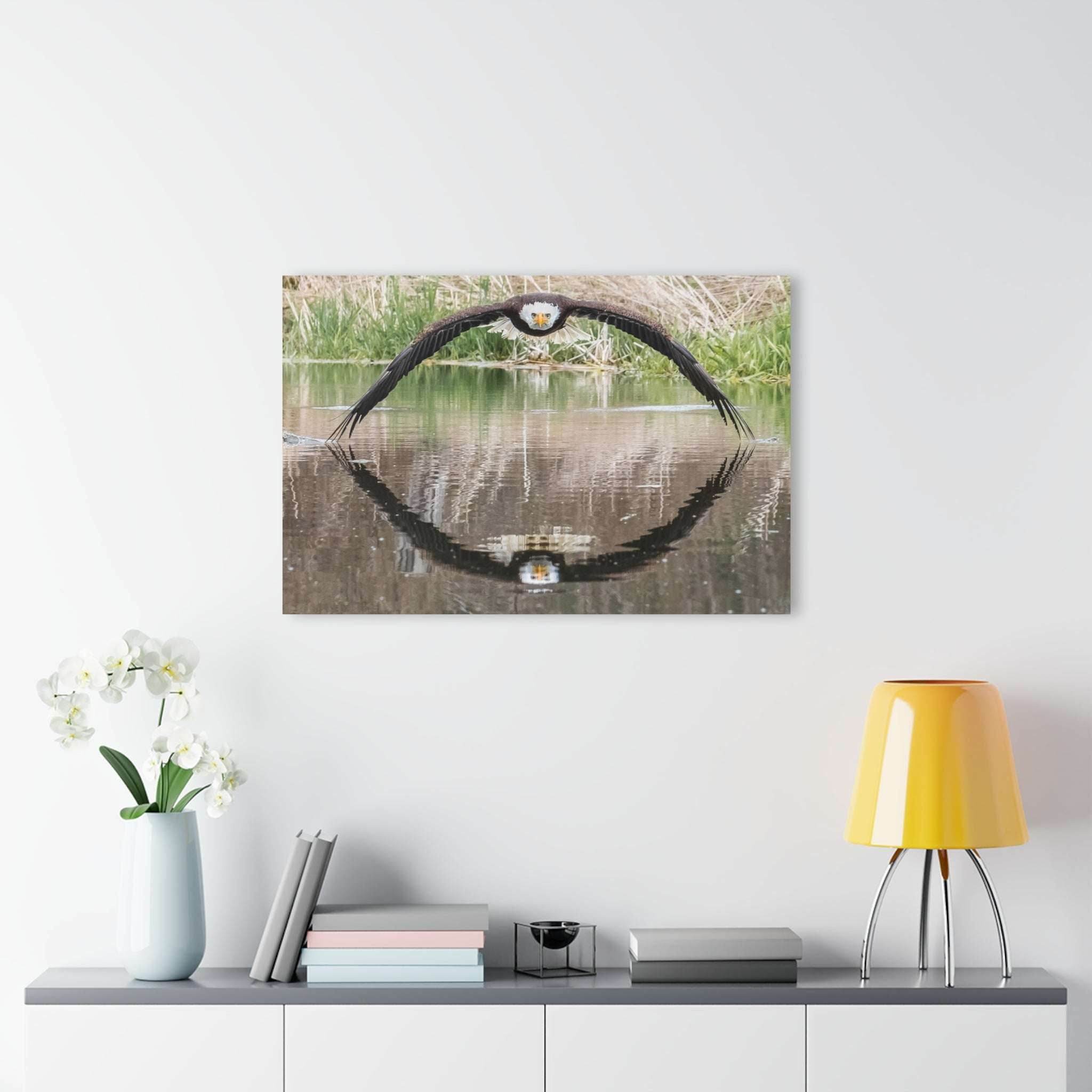 BRUCE THE BALD EAGLE - LE GALLERIA