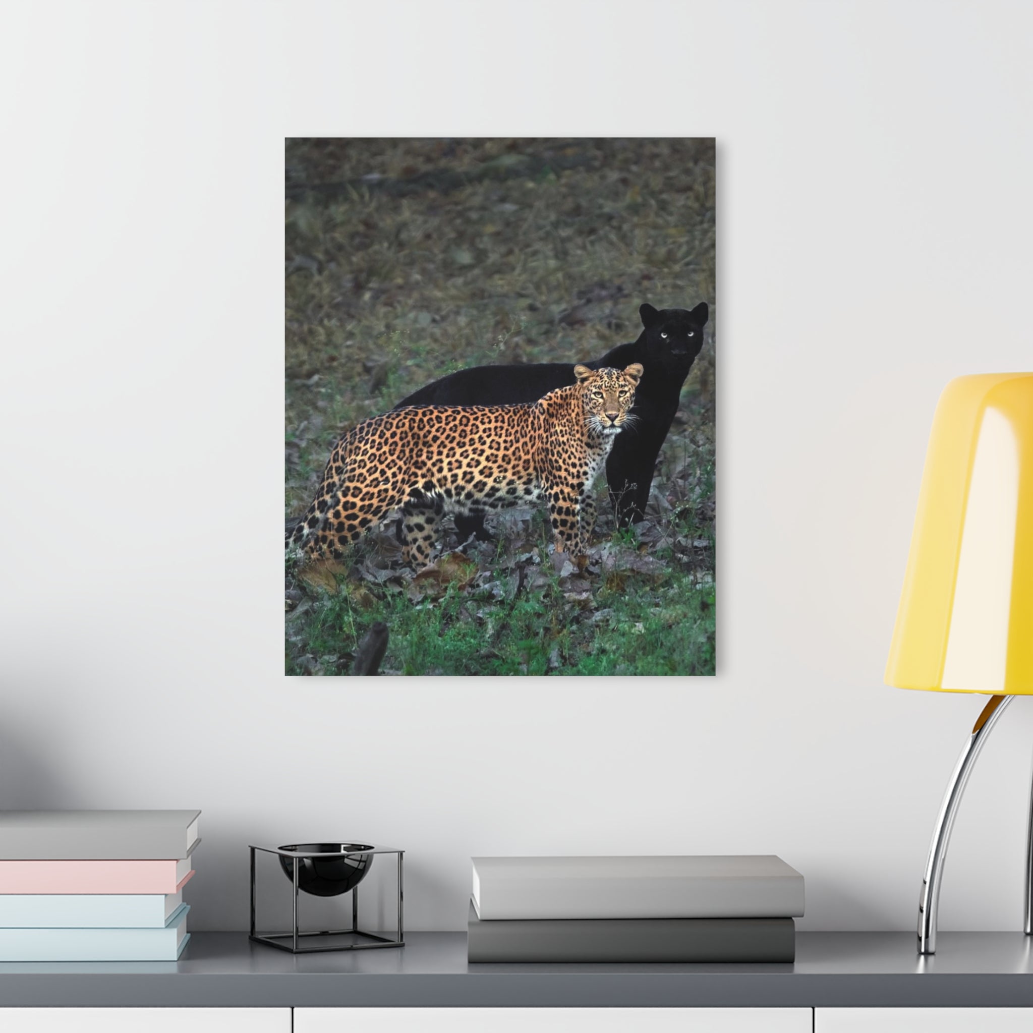 LEOPARD WITH IT BLACK PANTHER 'SHADOW'