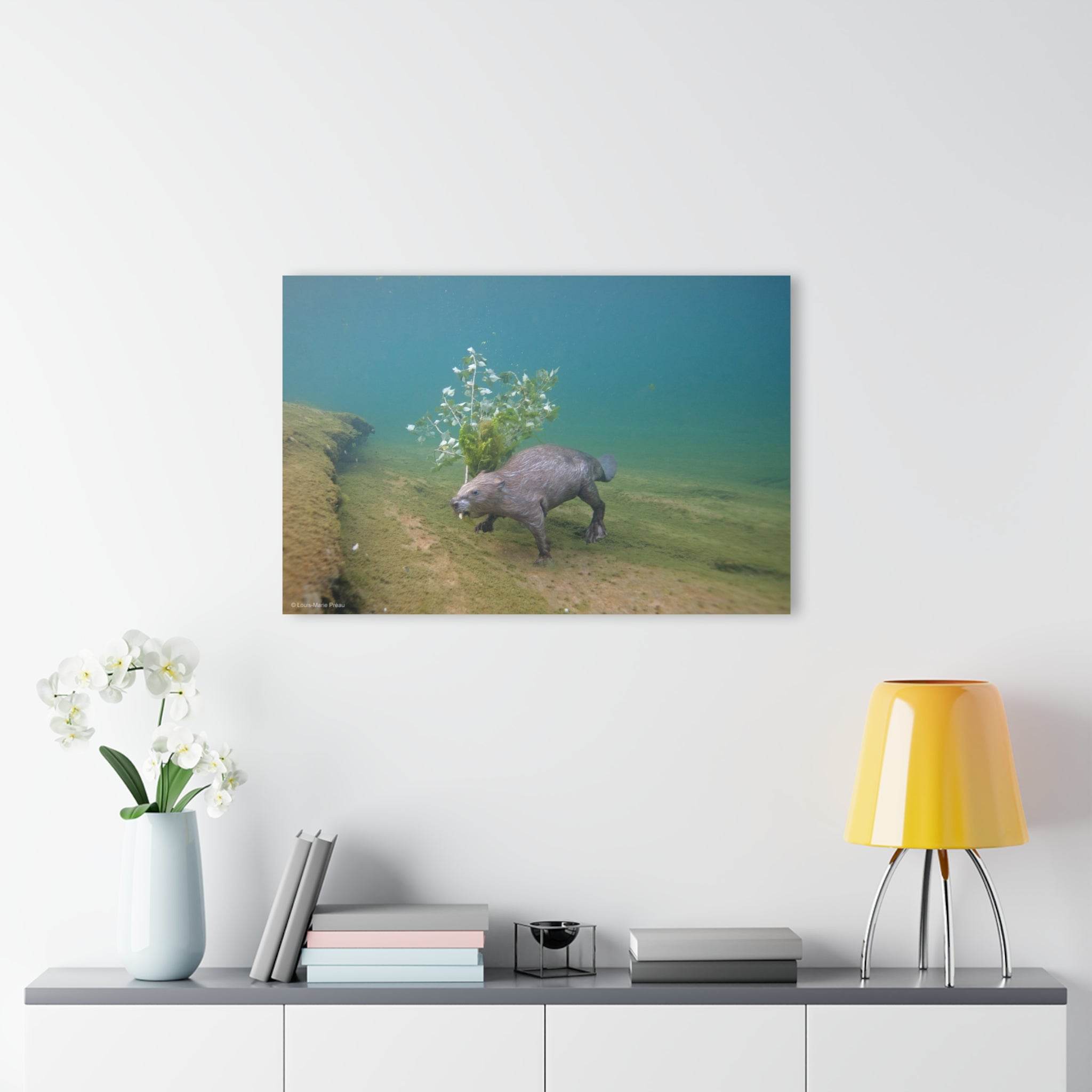 A BEAVER DELIVERING A BRANCH TO ITS FAMILY - LE GALLERIA