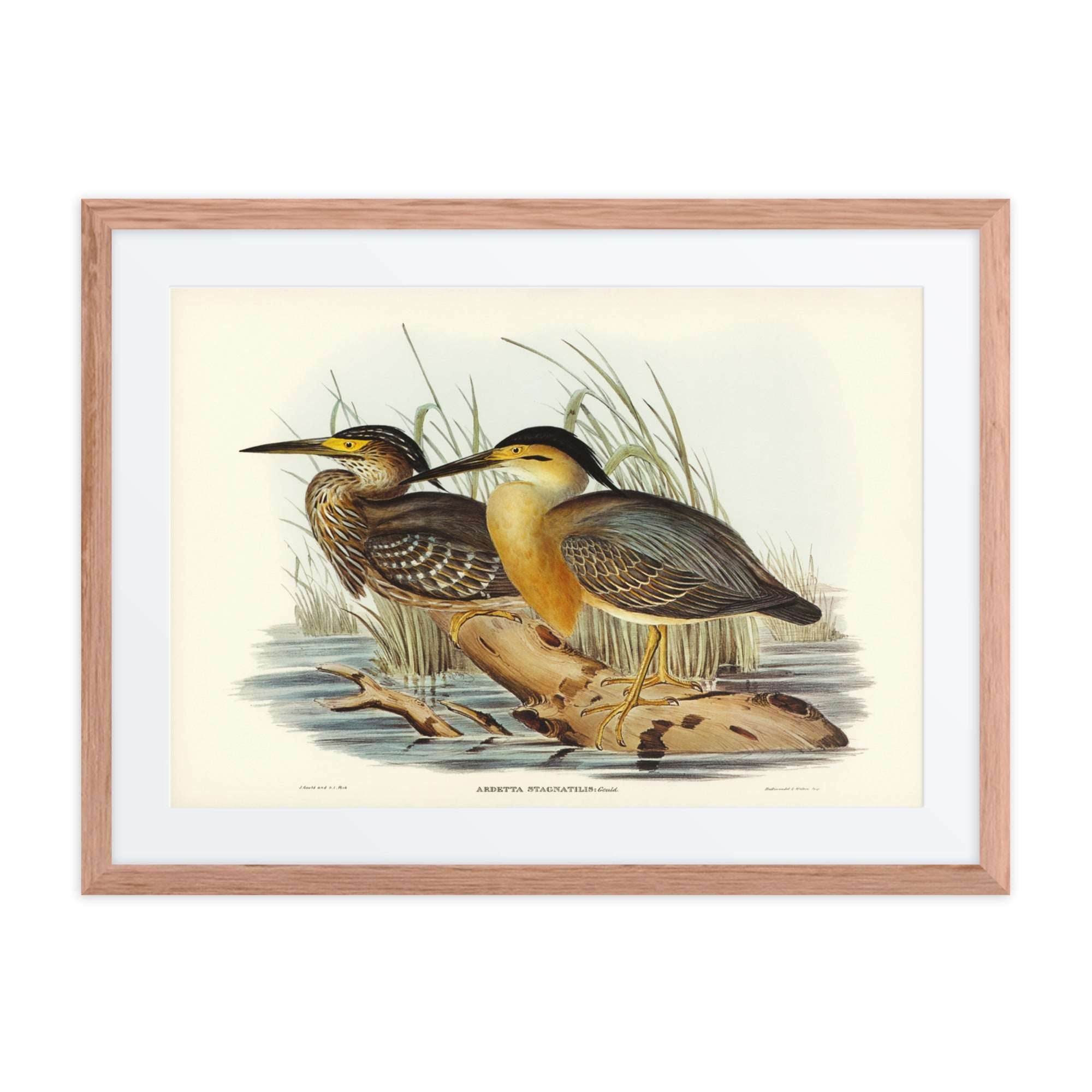 LITTLE BITTEN-ARDETTA - LE GALLERIA